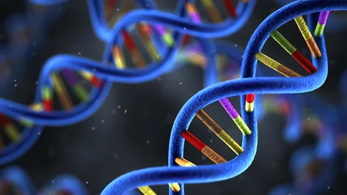 雌激素受体正常与ESR1突变工作机制对比示意图