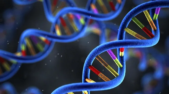 CDK4/6抑制剂作用机制示意图：刹车与油门