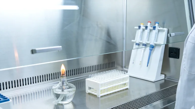 报告首页“核心摘要”部分被荧光笔高亮标出