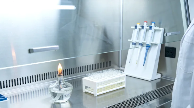 晚期BRAF突变肠癌靶向联合疗法示意图