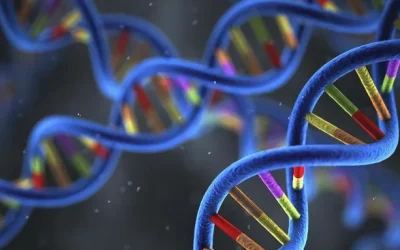 一张形象化的乳腺癌病理报告单，关键指标被高亮标出