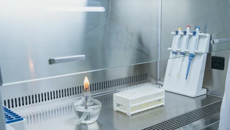 BRAF基因结构示意图，标出V600及其他突变热点