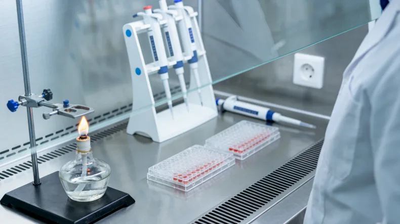 病理医生在显微镜下观察免疫组化染色切片