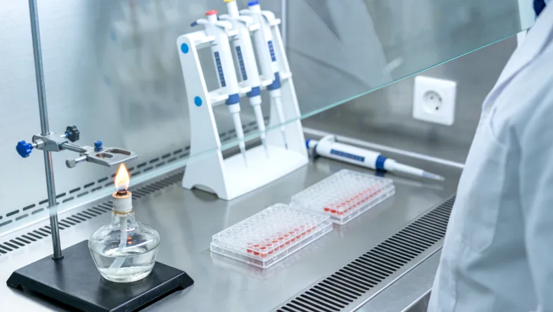 医生与患者共同查看CT影像片