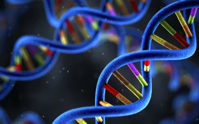 MSI检测报告单示意图