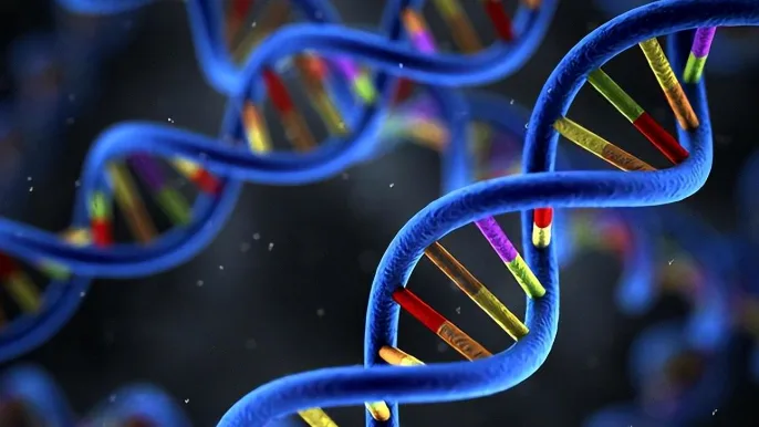 MSI检测报告单示意图