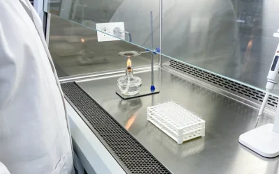 细胞DNA复制与错配修复示意图