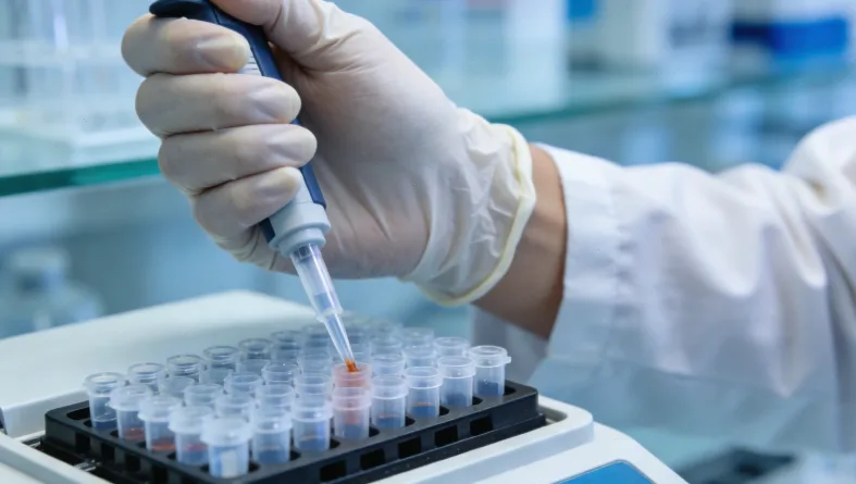 整理有序的病历资料文件夹特写