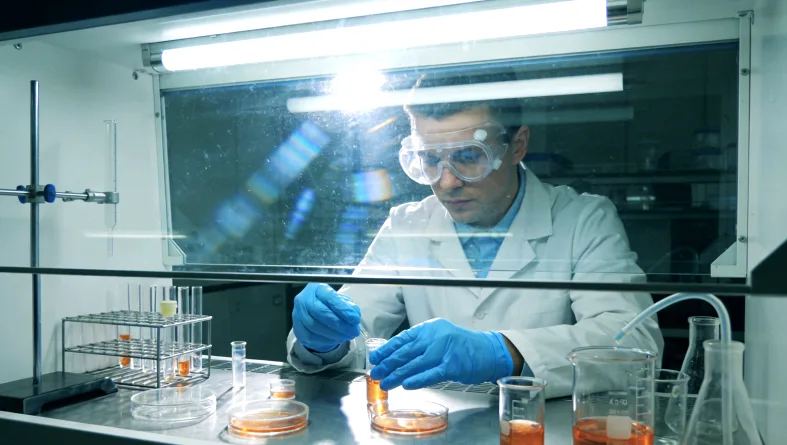 乙肝病毒与肝脏细胞示意图