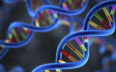 肿瘤细胞与基因检测示意图