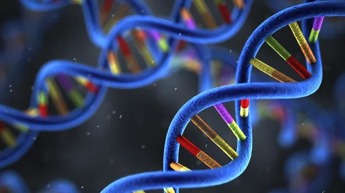 PCR、FISH、NGS三种技术对比示意图