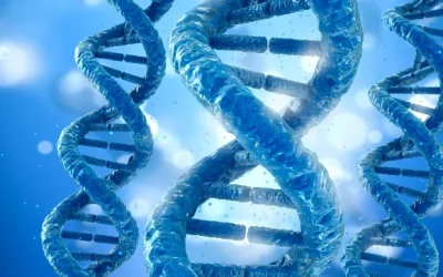 染色体易位示意图：展示14号染色体与其他染色体错误连接