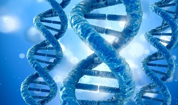 染色体易位示意图：展示14号染色体与其他染色体错误连接