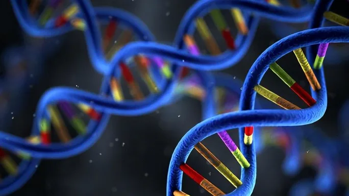 JAK2基因突变示意图