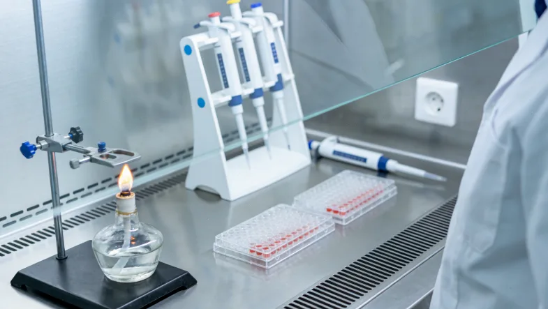 一份食物过敏基因检测报告的特写,聚焦在风险评分栏