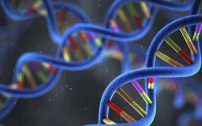 NGS测序仪正在工作中