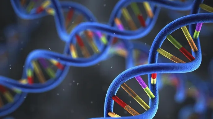 NGS测序仪正在工作中