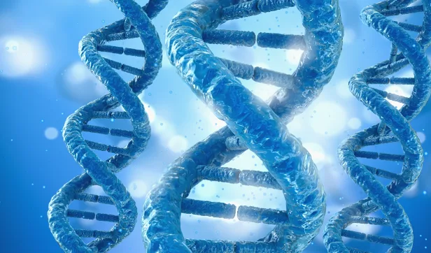 医生与患者面对面进行遗传咨询的场景