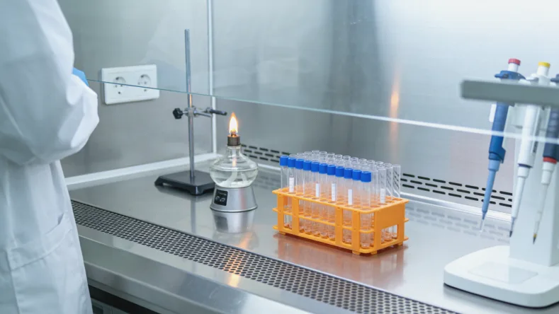 不同MTHFR基因型对应的酶活性下降比例图表