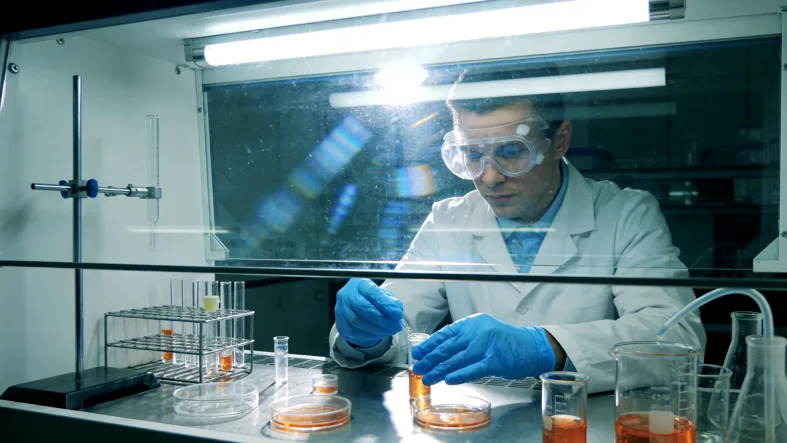 普通叶酸与活性叶酸在人体内代谢路径对比示意图