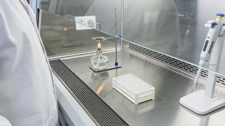 富含Omega-3的食材拼图：三文鱼、核桃、亚麻籽