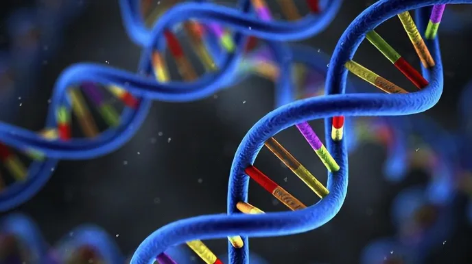 一个简化的家族谱系图，显示多位年轻成员患不同癌症