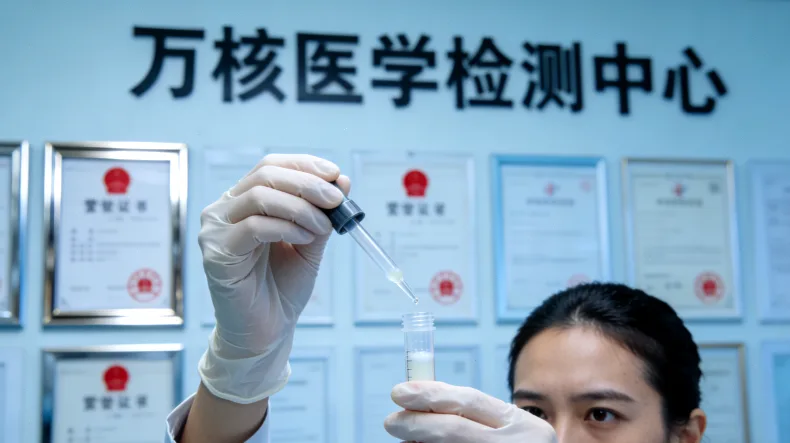 示意图:基因、豆制品、肠道菌群三者的关系