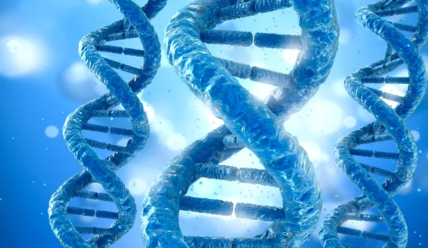 面部毛鞘瘤与口腔乳头状瘤特征示意图