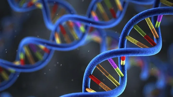 儿童背部多发性咖啡牛奶斑示意图