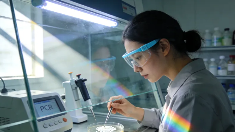 放大镜下审视一份基因检测报告和价格标签