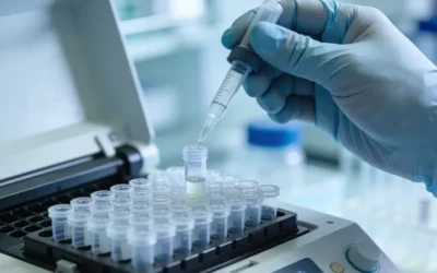 医生与乙肝患者讨论基因检测报告