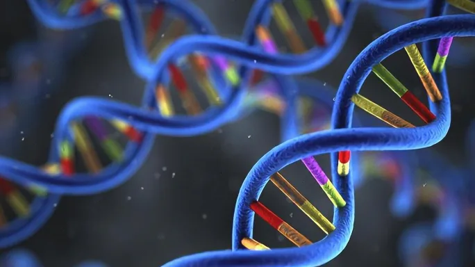 信息图：展示BRCA1、Lynch、TP53三种综合征对应的主要筛查癌种