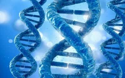 TMB高低与肿瘤新抗原产生示意图