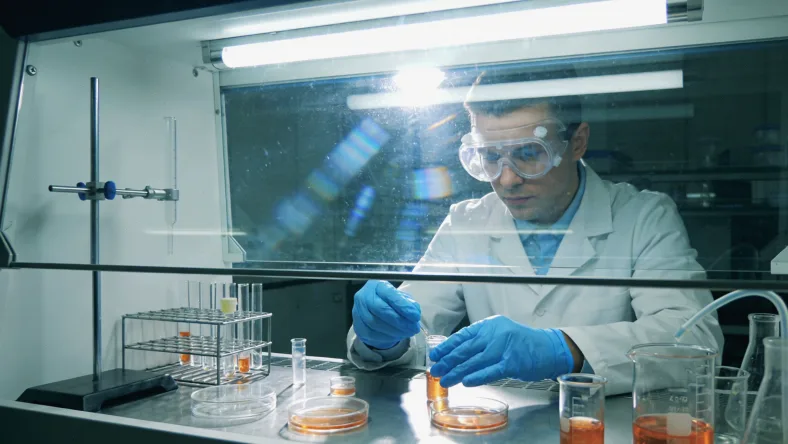 肿瘤异质性导致检测结果差异的漫画图解