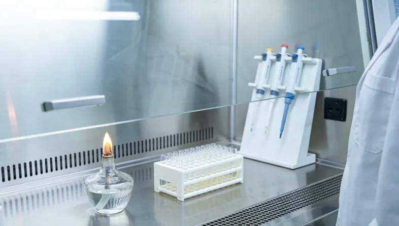 HER2蛋白在细胞膜上低表达与高表达的对比图示