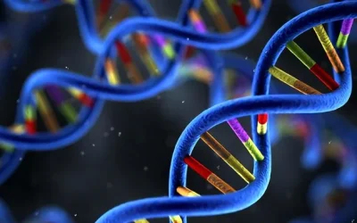 免疫细胞攻击癌细胞示意图