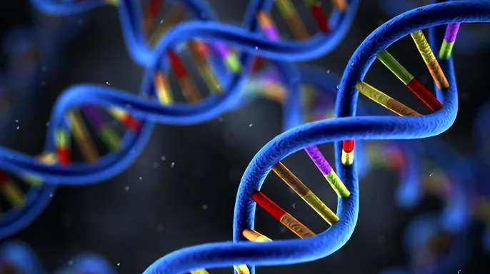 免疫细胞攻击癌细胞示意图