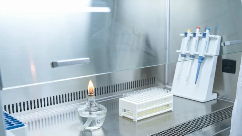 展示流感疫苗针剂与接种过程的示意图