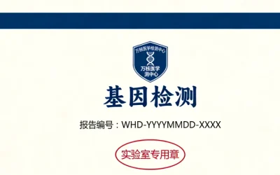 PARP抑制剂“合成致死”作用机制示意图