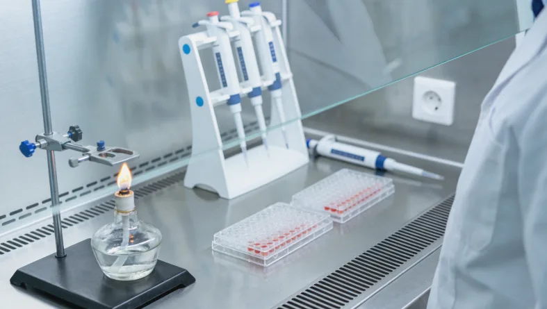 展示BRCA基因常染色体显性遗传模式的家族图谱