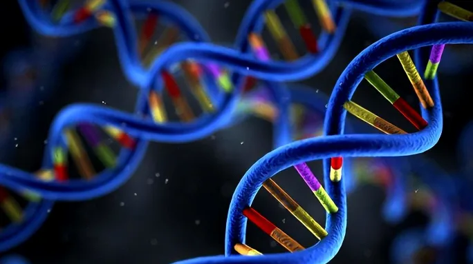 免疫细胞攻击肿瘤细胞示意图