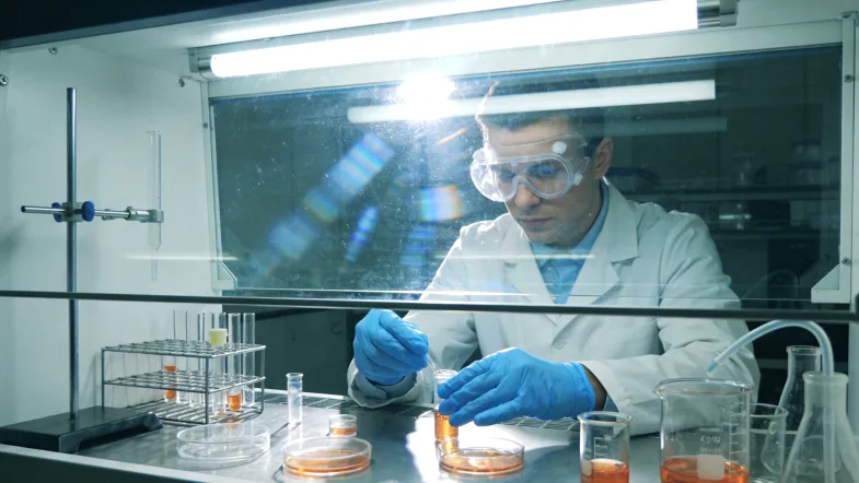 示意图:高纯度与低纯度肿瘤组织中肿瘤细胞(红色)与正常细胞(蓝色)的对比