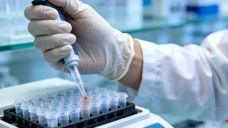 靶向治疗与免疫治疗作用机制对比图