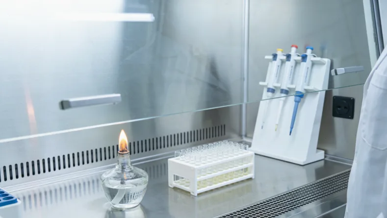 ALK靶向药与抗血管药作用机制示意图