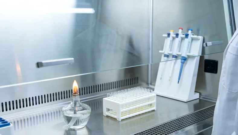 不同肿瘤细胞含量的组织切片对比示意图