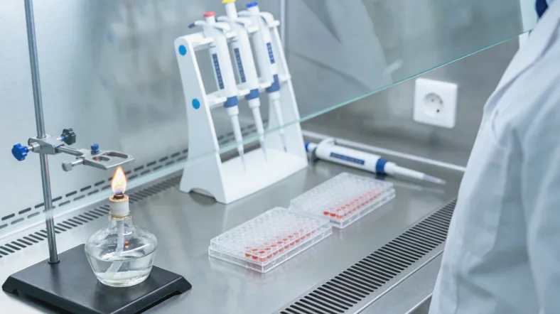 医保政策文件与放大镜的示意图片