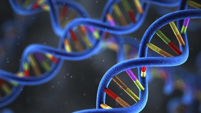 染色体核型图与正常/异常对比示意图