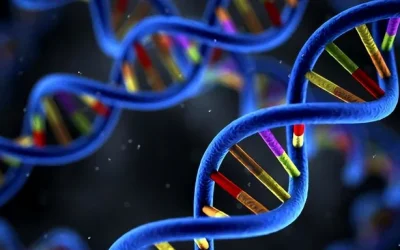 遗传咨询师与夫妇讨论基因报告的场景