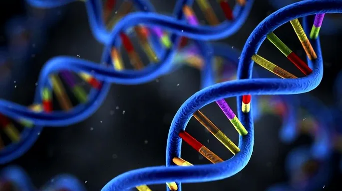 遗传咨询师与夫妇讨论基因报告的场景