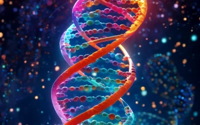 司法鉴定报告特写，显示醒目的司法鉴定专用红章